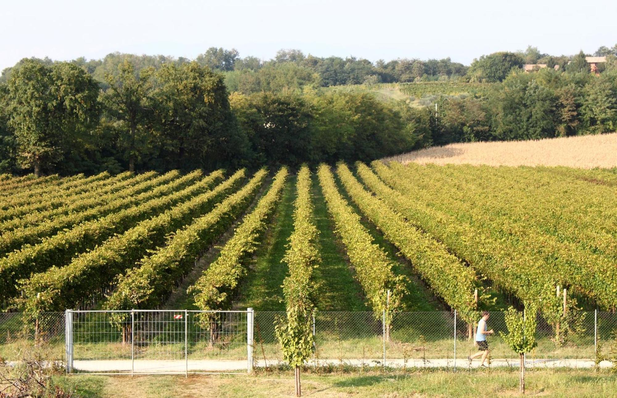 Caspineda Agriturismo Montebelluna Kültér fotó